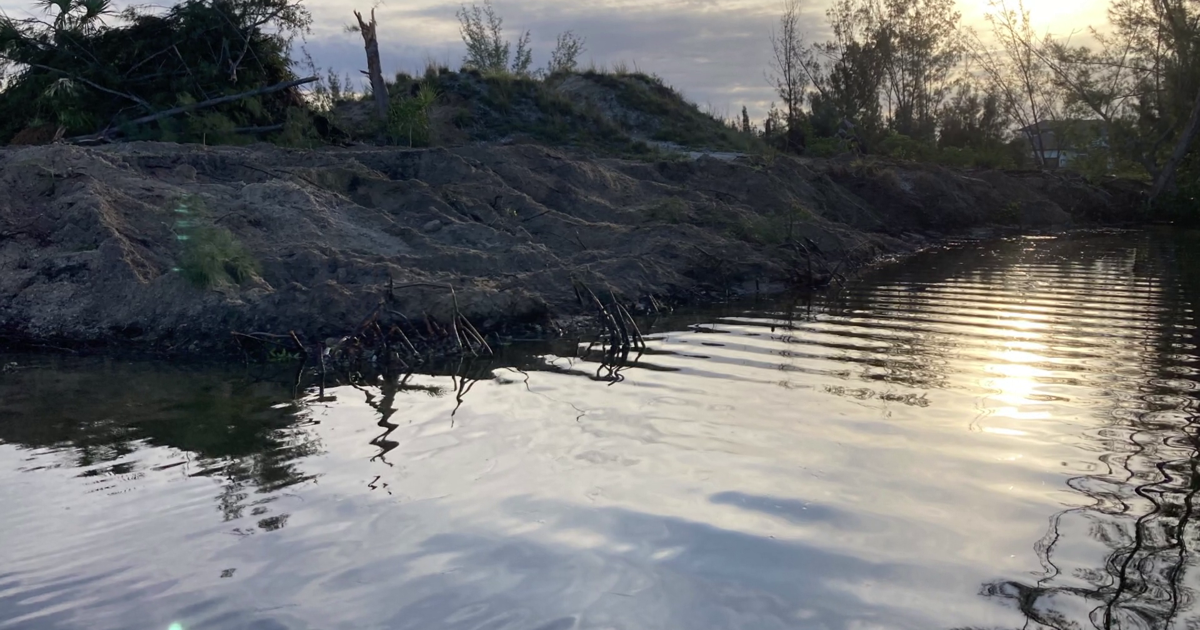 Cape Coral neighbors want answers after mangroves were cleared at Seven Islands cover image