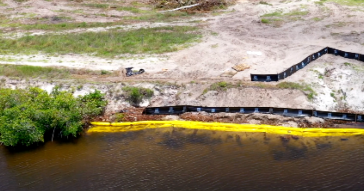 Cape Coral developer says contractor mistakenly removed mangroves cover image