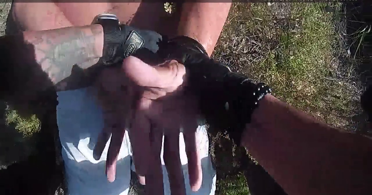 Deputies caught the North Fort Myers homicide suspect after a van escape into the woods cover image