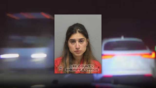 Wrong-way driver was arrested after a PIT maneuver on I-75 in Lee County cover image